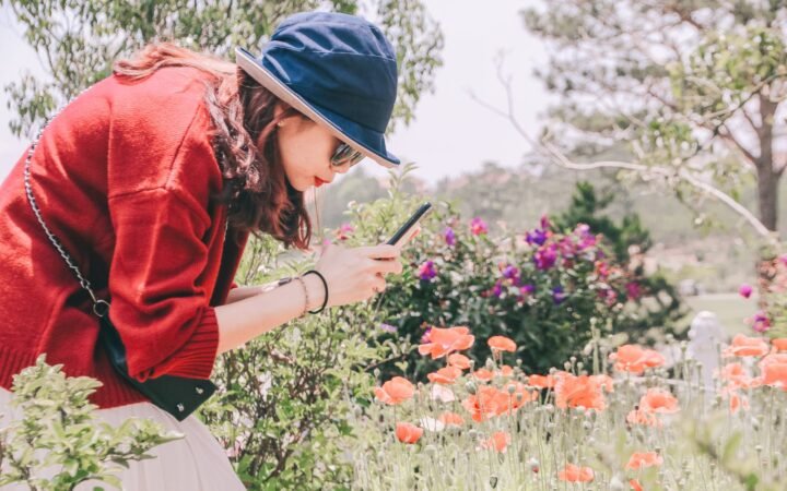 Búsqueda multimodal en Search Console: qué es y cómo usarla